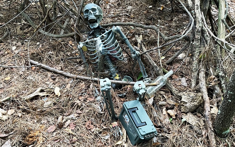 Geocaching Skeleton Lake Lanier